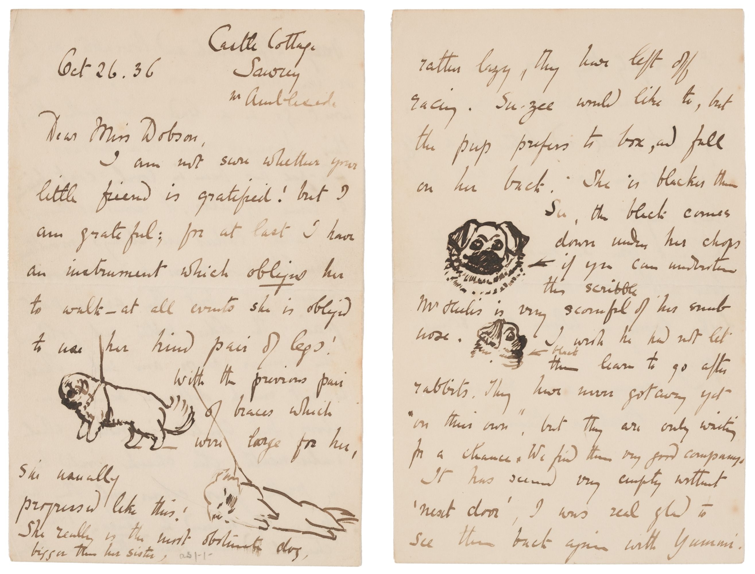 An autograph illustrated letter by Beatrix Potter depicting her Pekingese dogs.