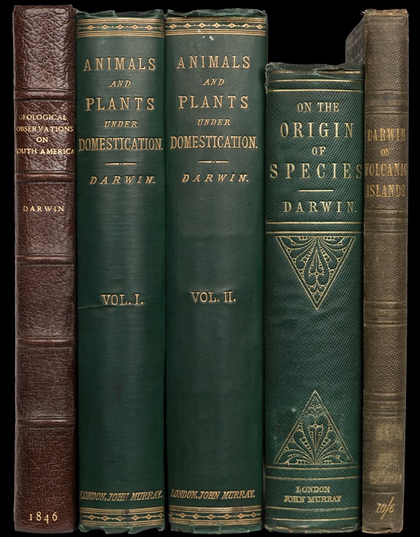 Printed Books & Maps, Geology & Charles Darwin, Early Printed Books & Continental Literature