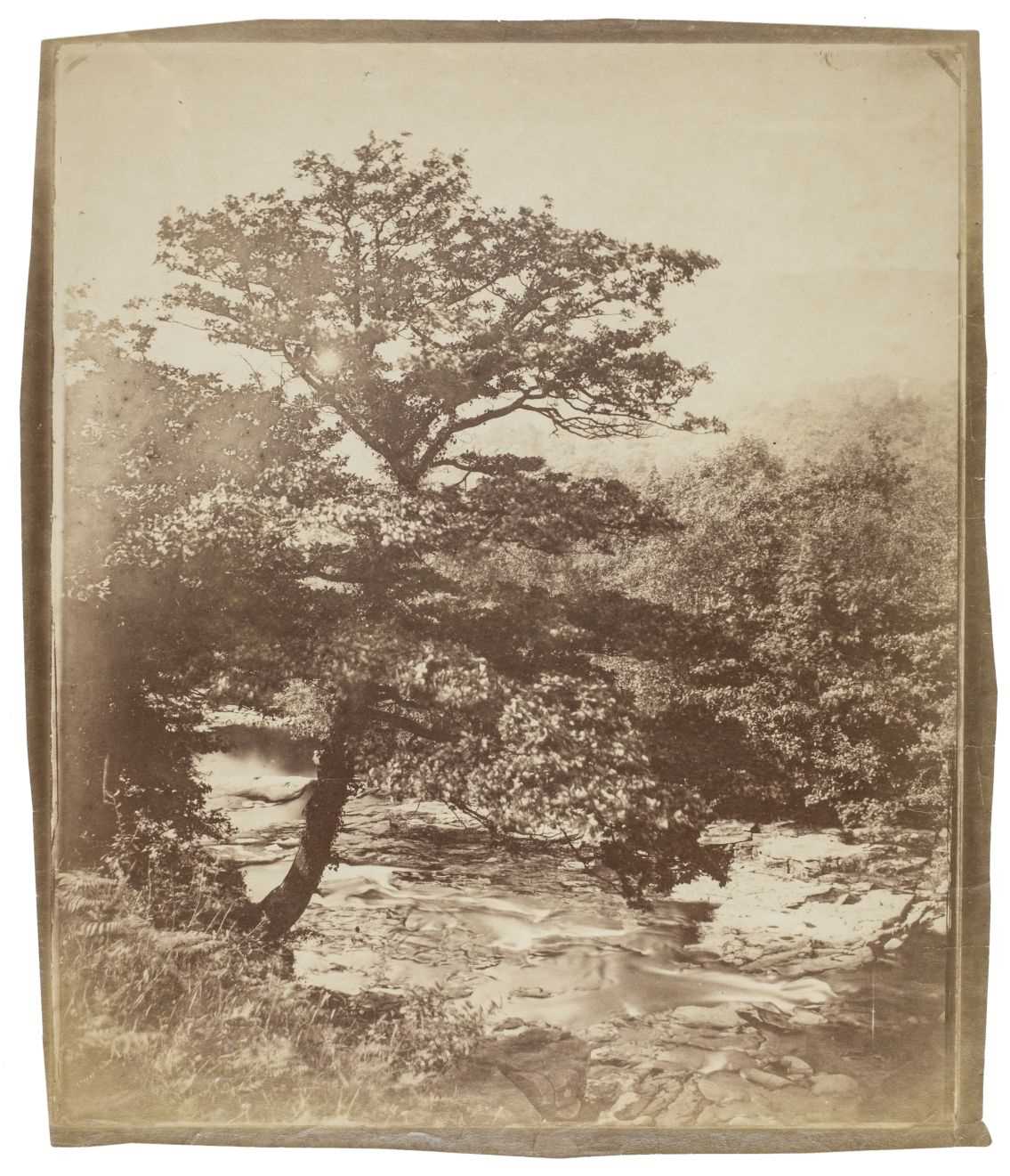 Lot 233 - Llewelyn, John Dillwyn, 1810-1882