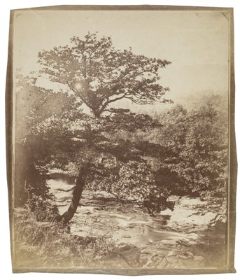 Lot 233 - Llewelyn, John Dillwyn, 1810-1882