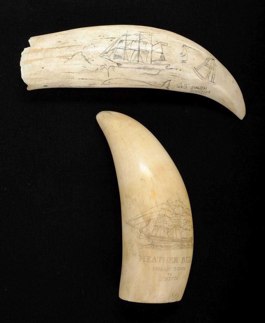 Lot 91 - Scrimshaw.