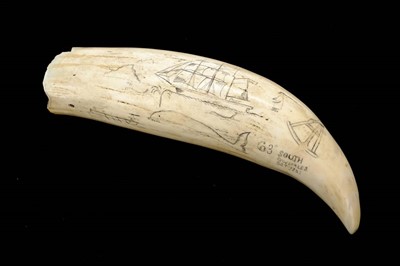 Lot 91 - Scrimshaw.