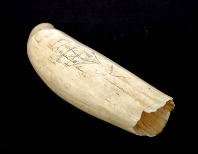 Lot 91 - Scrimshaw.