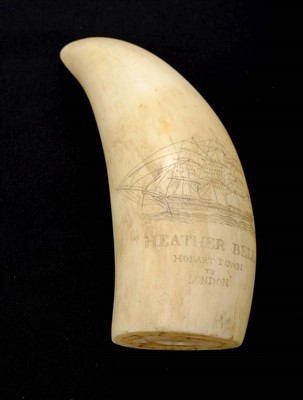 Lot 91 - Scrimshaw.