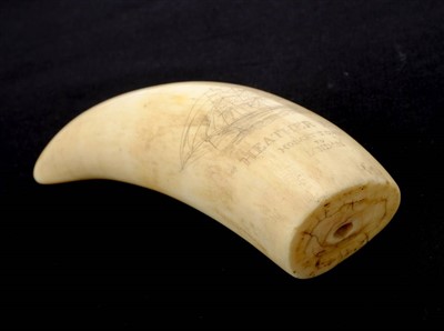 Lot 91 - Scrimshaw.