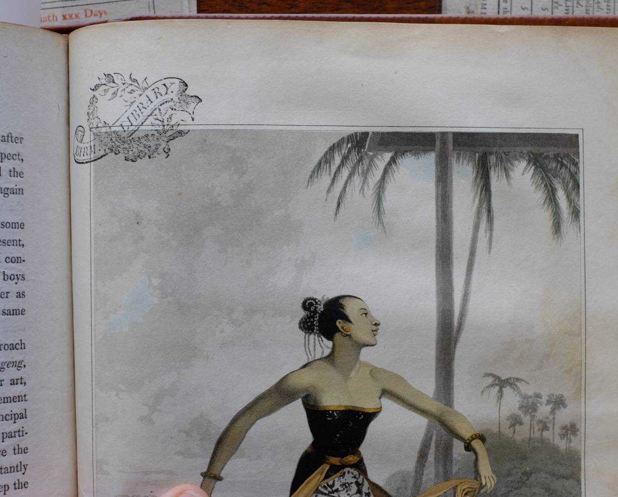 Lot 181 - Raffles, Sir Thomas Stamford