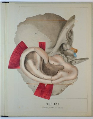 Lot 581 - Witkowski, Gustave Joseph