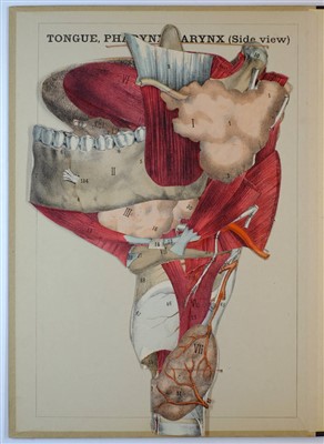 Lot 581 - Witkowski, Gustave Joseph