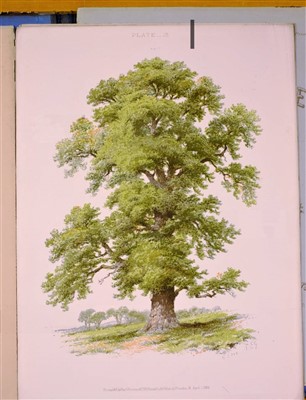 Lot 547 - Green, Nathaniel Everett, 1833-1899