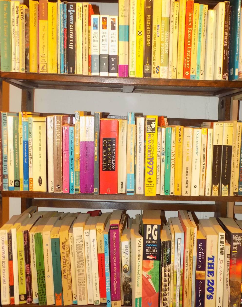Lot 517 - Paperbacks.