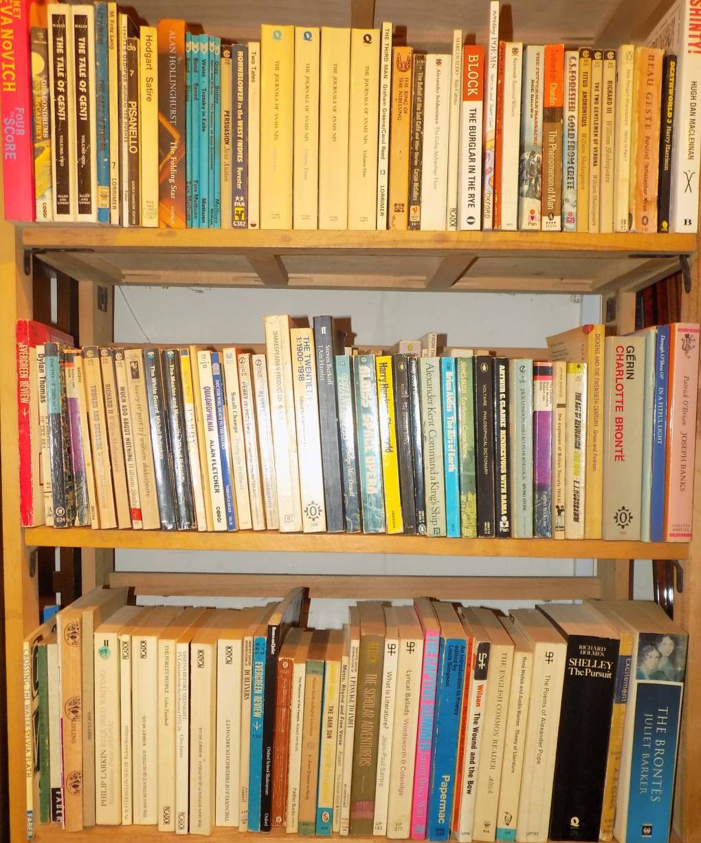 Lot 517 - Paperbacks.
