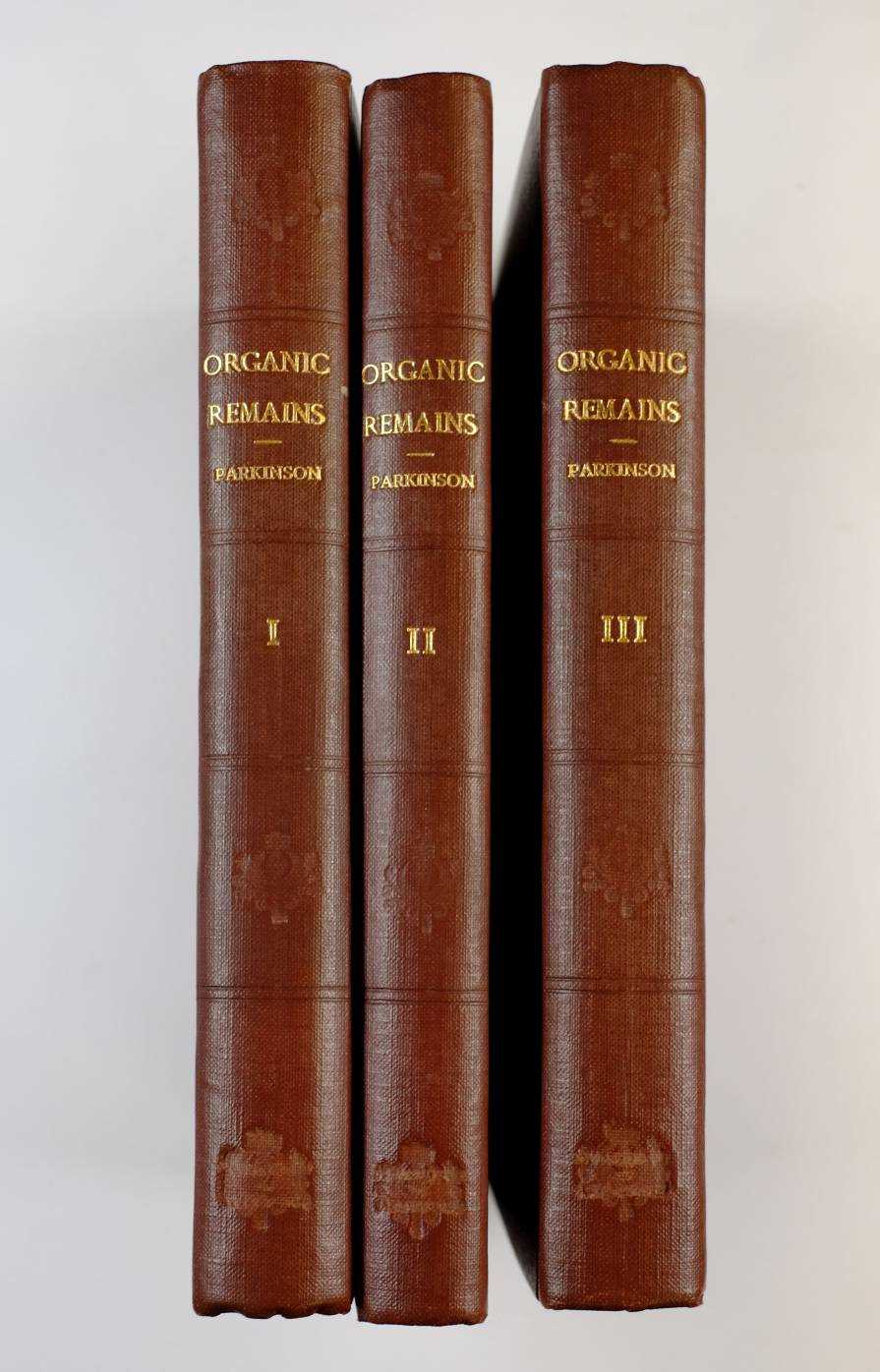 Lot 160 Parkinson, James