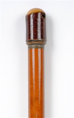 Lot 39 - Walking Cane.