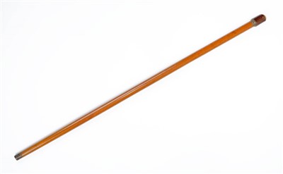 Lot 39 - Walking Cane.