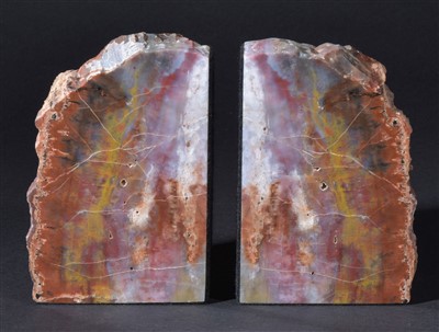 Lot 106 - A pair of agatised fossilised wood bookends