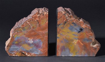 Lot 107 - A pair of agatised fossilised wood bookends