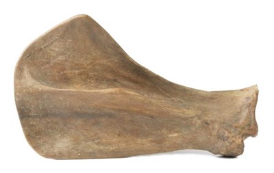 Lot 169 - Woolly Rhino Scapula.