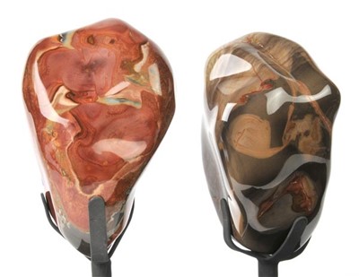 Lot 180 - Two Large Polychrome Jasper polished free forms on custom base.