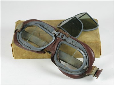 Lot 53 - Goggles.