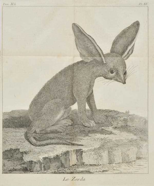 Lot 170 Sparrman, Anders