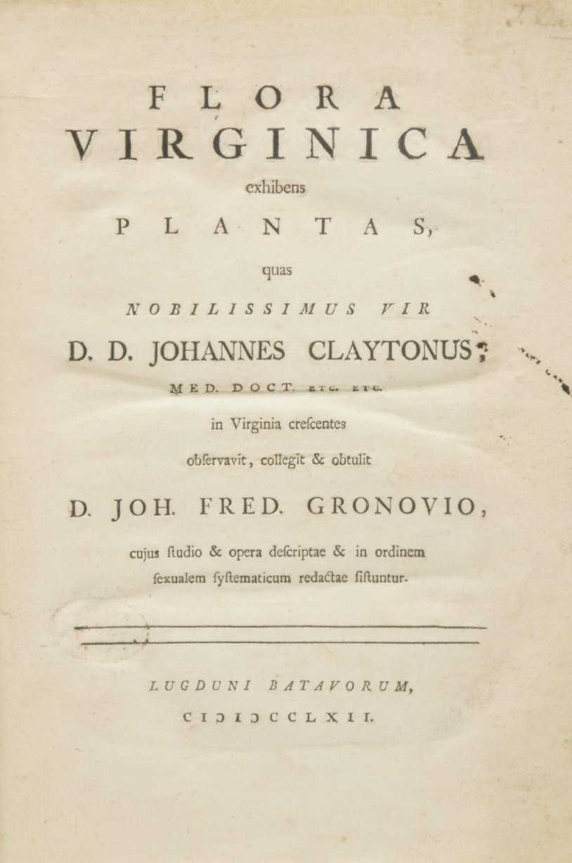 Lot 19 - Gronovius, Jan Frederik