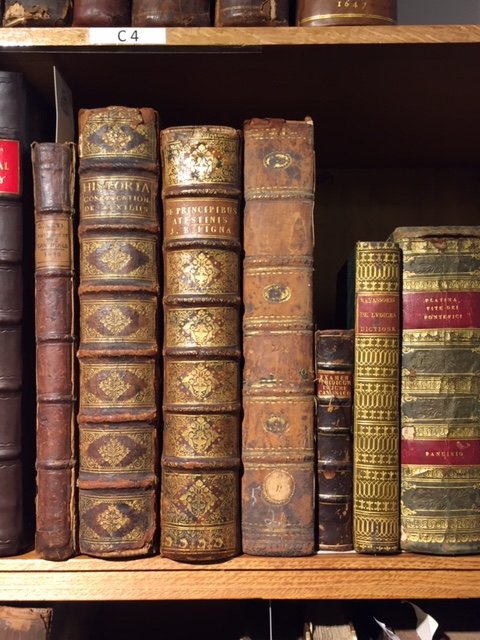 Lot 349 Leti, Gregorio