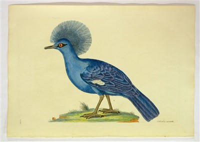 Lot 379 - Shaw, George & Miller John Frederick