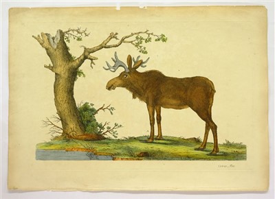 Lot 379 - Shaw, George & Miller John Frederick