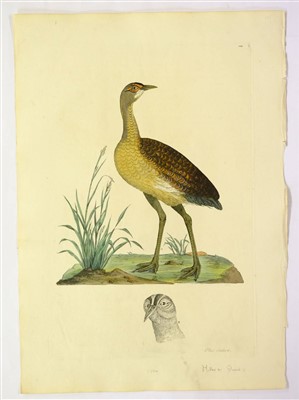 Lot 379 - Shaw, George & Miller John Frederick