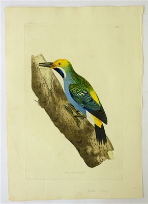 Lot 379 - Shaw, George & Miller John Frederick