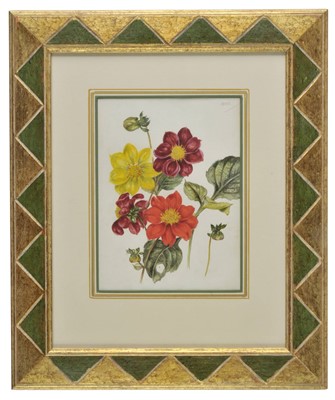 Lot 273 - Botanical watercolours.