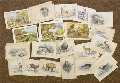 Lot 227 - Prints & engravings.