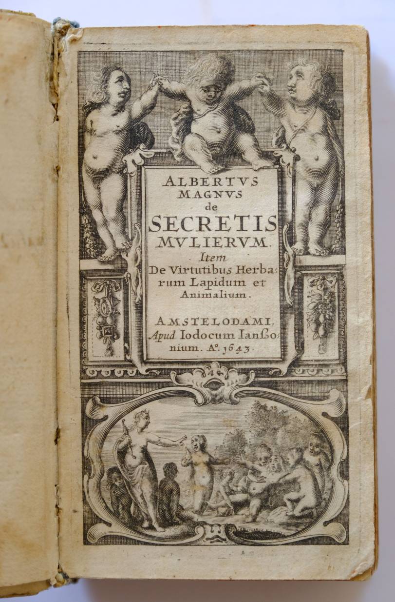 Lot 356 Albertus Magnus.
