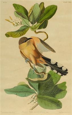 Lot 213 - Audubon, John James