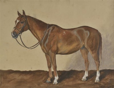 Lot 226 - Equestrian.