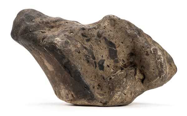 Lot 139 - Sauropod Dinosaur Bone.