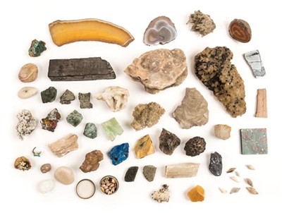 Lot 159 - Minerals & Shells.