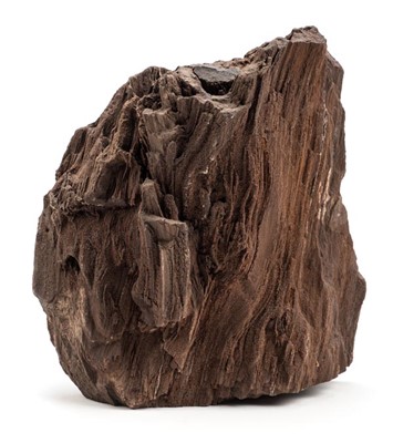 Lot 152 - Permineralised fossil wood