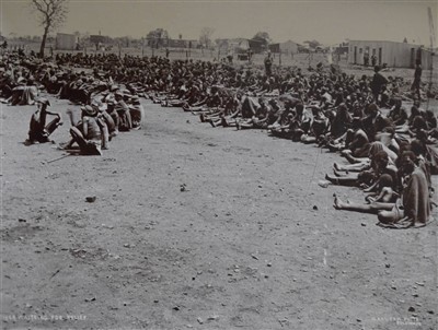 Lot 416 - Southern Africa.