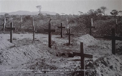 Lot 416 - Southern Africa.