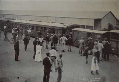 Lot 416 - Southern Africa.