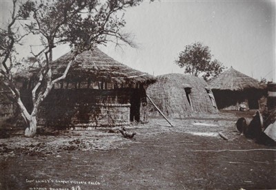 Lot 416 - Southern Africa.
