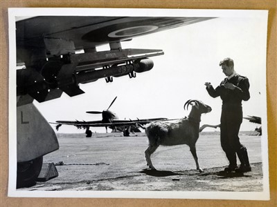 Lot 707 - Hawker Tempest I, II, V & VI, Hawker Tornado, Hawker Typhoon, Hawker Woodcock & Danecock and HS Harrier GR1.