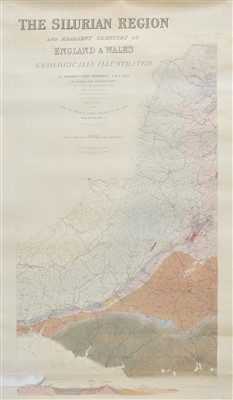 Lot 213 - Murchison, Roderick Impey