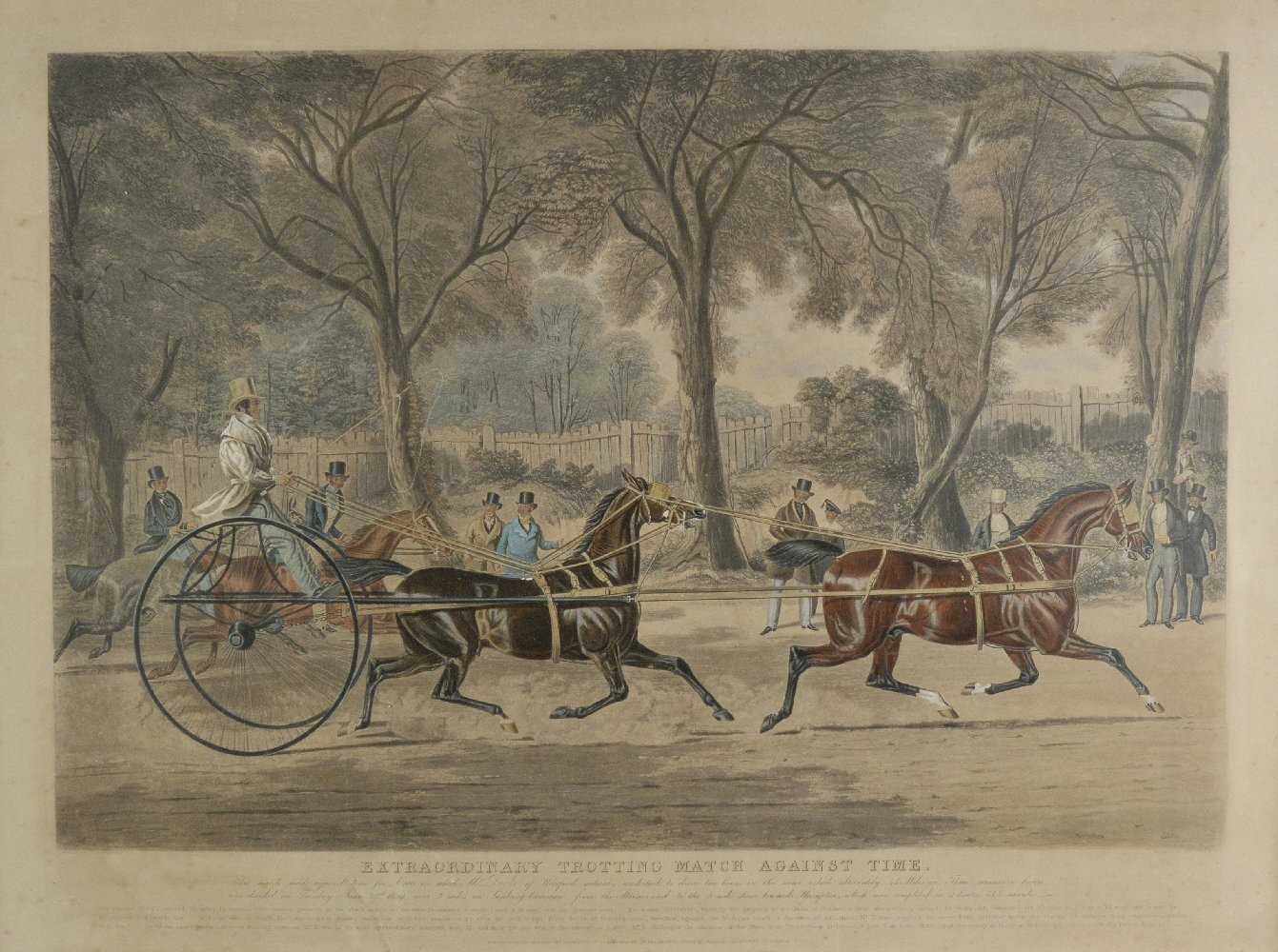 Lot 227 - Trotting.