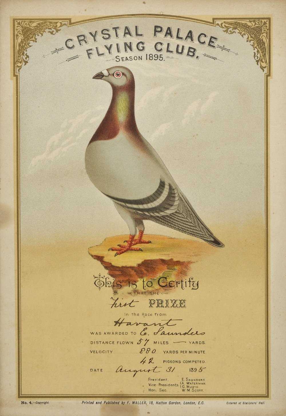 Lot 218 - Racing Pigeons