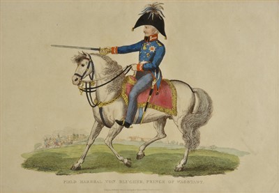 Lot 209 - Napoleonic Wars.