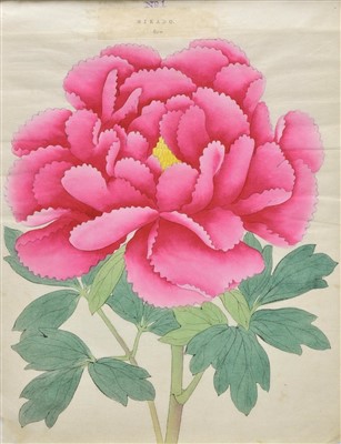 Lot 95 - [Yokohama Nursery Co Ltd].