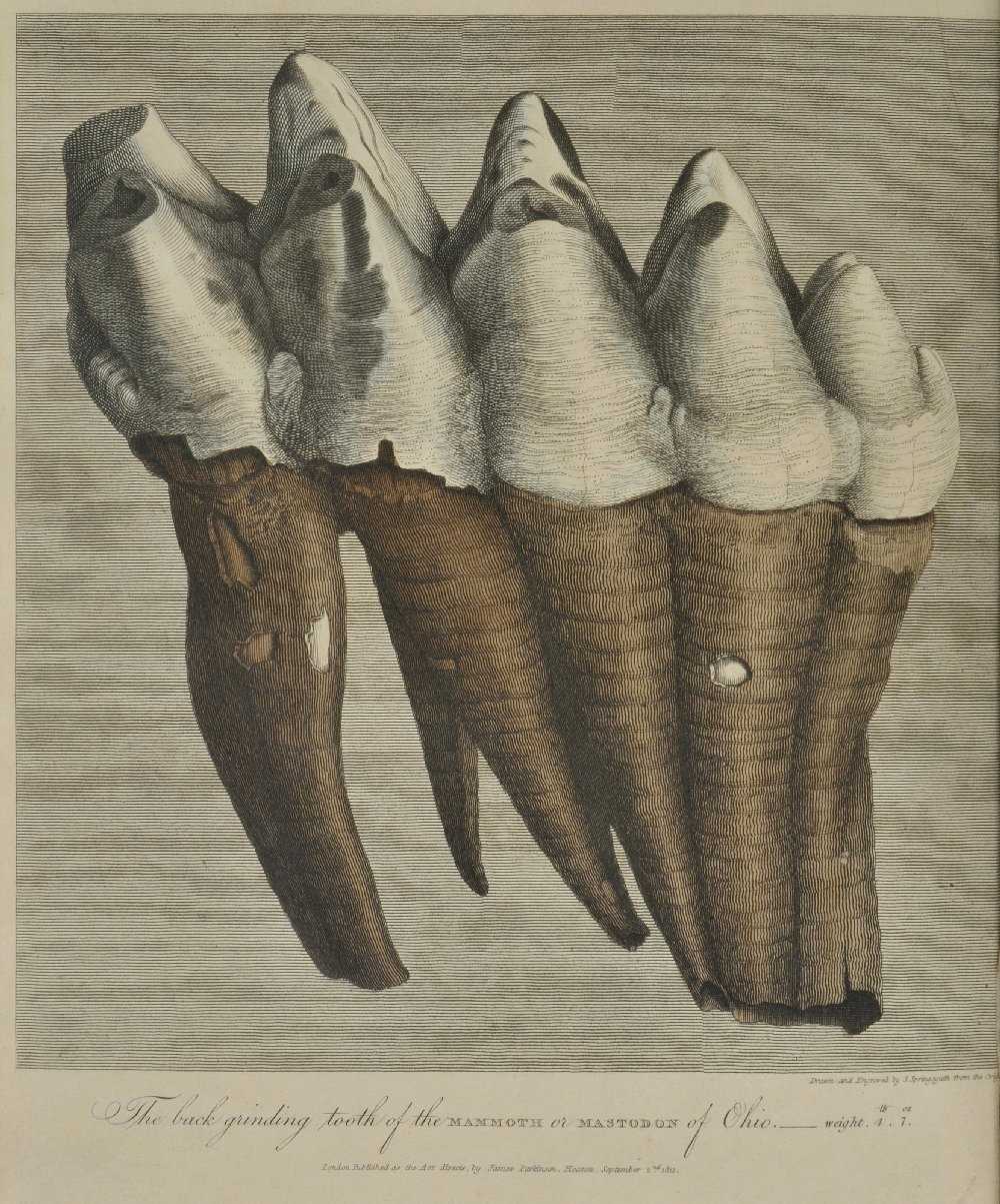 Lot 62 Parkinson, James