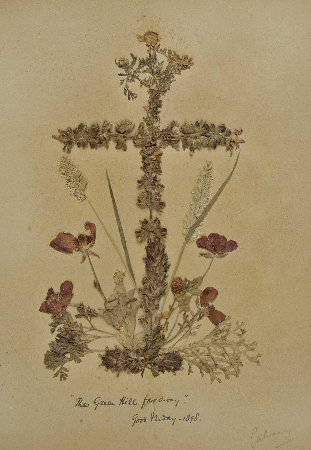 Lot 68 - Dried Flowers.